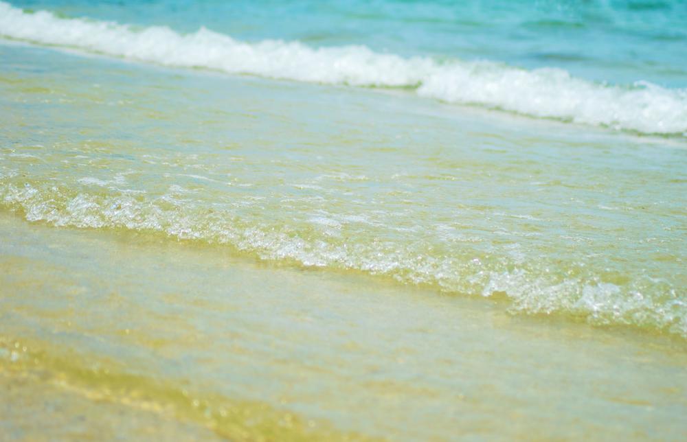 Relax on sandy shores and enjoy peaceful ocean views.