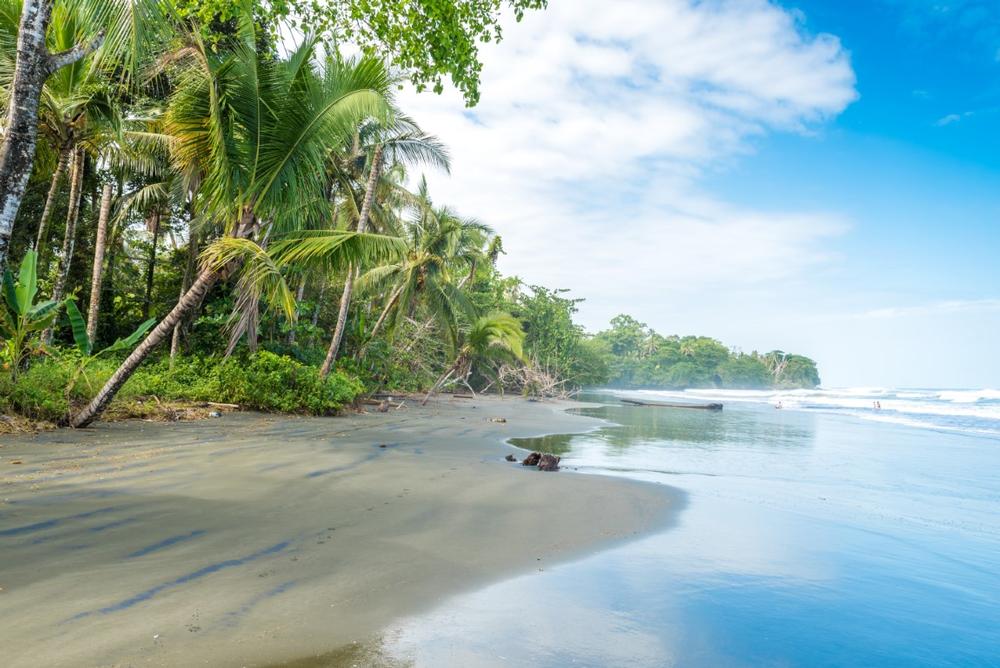 Explore coral reefs and admire lush rainforest surroundings.