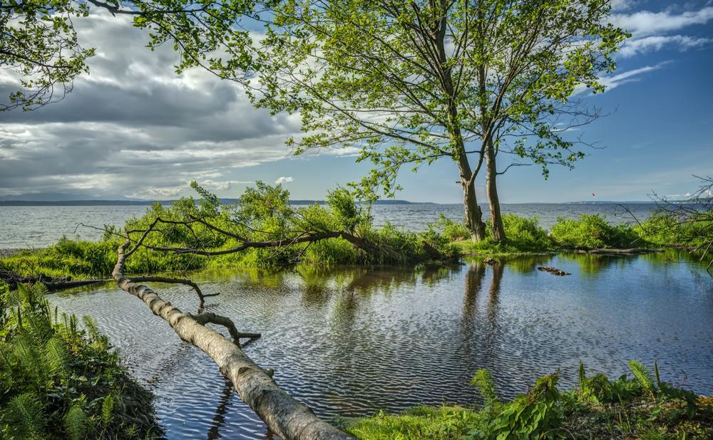 Golden Gardens Park - 25-minute drive via Ballard and Seaview Avenue NW