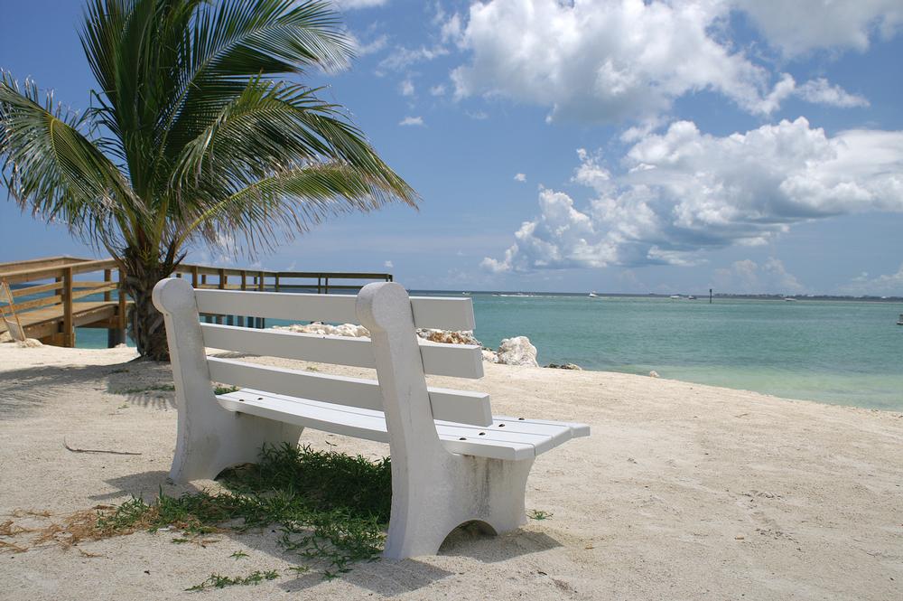 John U Lloyd State Park - 30 minutes north of Downtown Miami