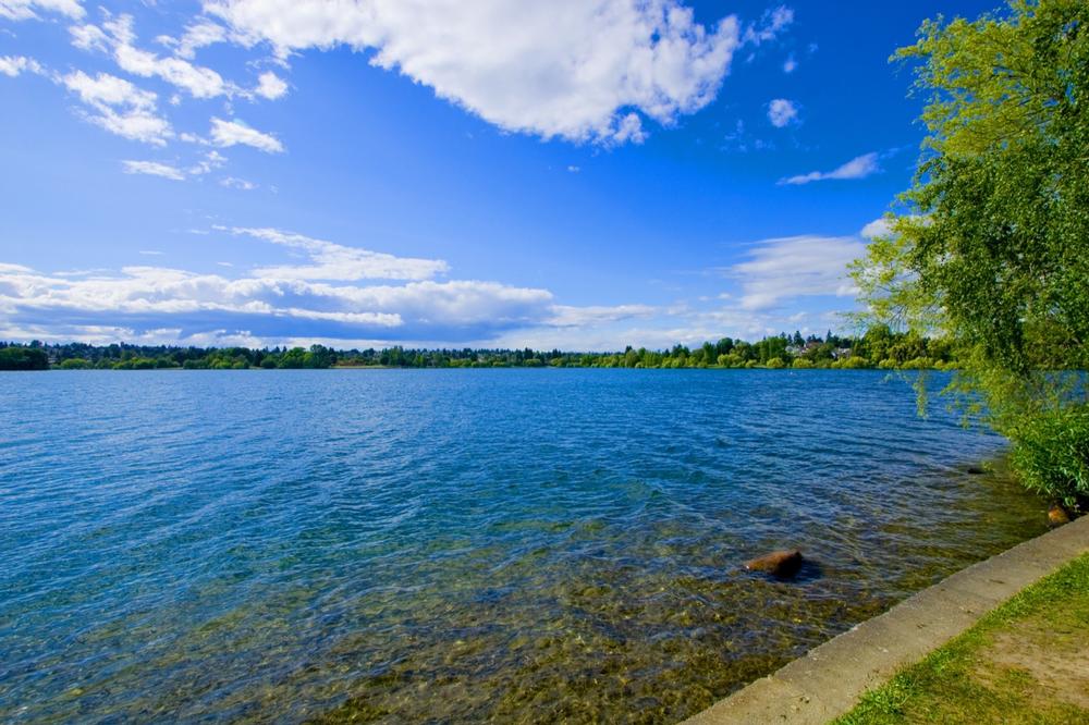Green Lake Park - 20 minute drive from Seattle