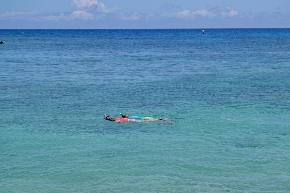 Honoka'ope Beach - 20 minutes by car from Waikoloa