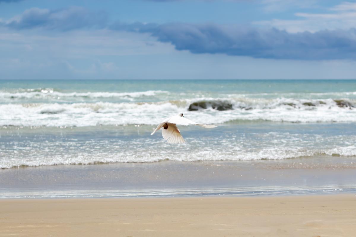 Admire coastal views and enjoy a peaceful picnic on a quick romantic retreat.