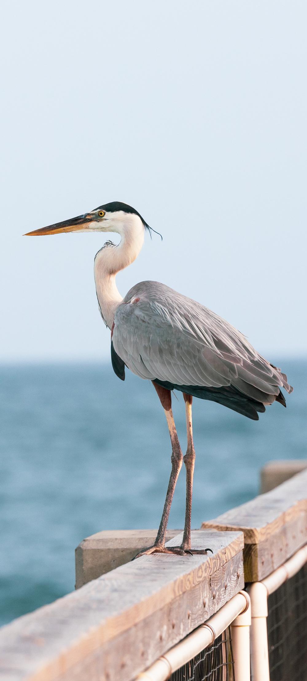 Navarre Beach - 3.5 to 4 hours from New Orleans