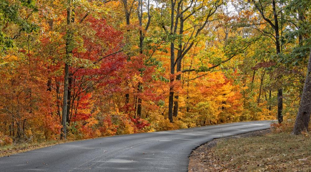Hike scenic trails and discover waterfalls in a peaceful fall nature escape.
