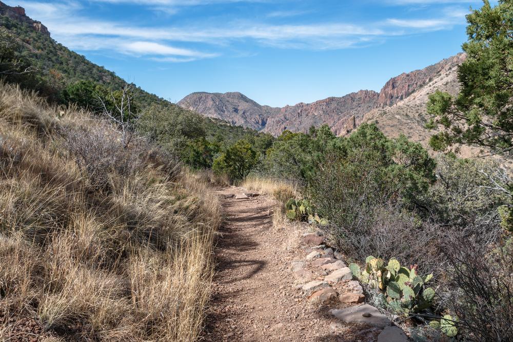 Chinati Peak - 45 minutes from Marfa, TX