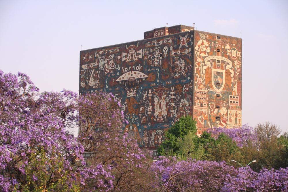 Experience Vibrant Culture and Bold Innovation at UNAM