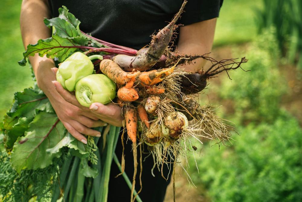 Farm-to-Fork with a French Twist: Black Cat Boulder