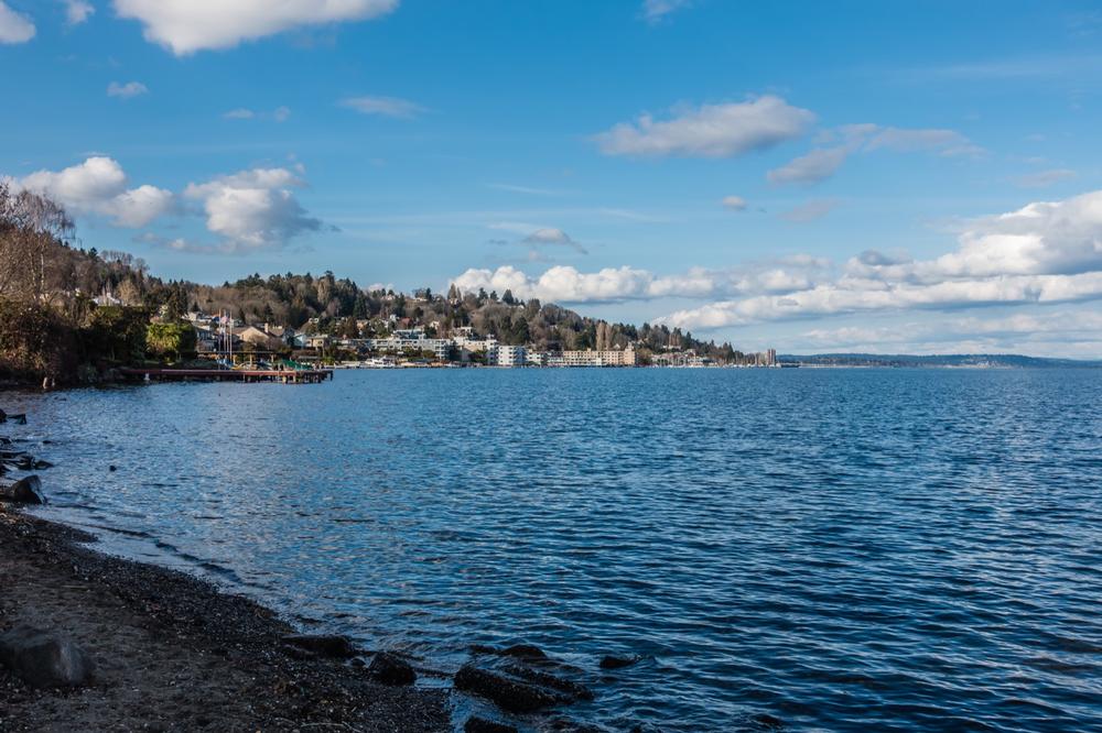 Leschi Park - 10-minute drive from Seattle