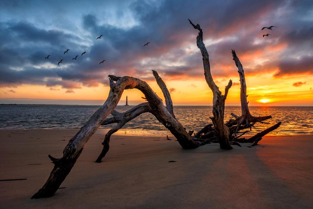 Morris Island - 30 minutes from Charleston