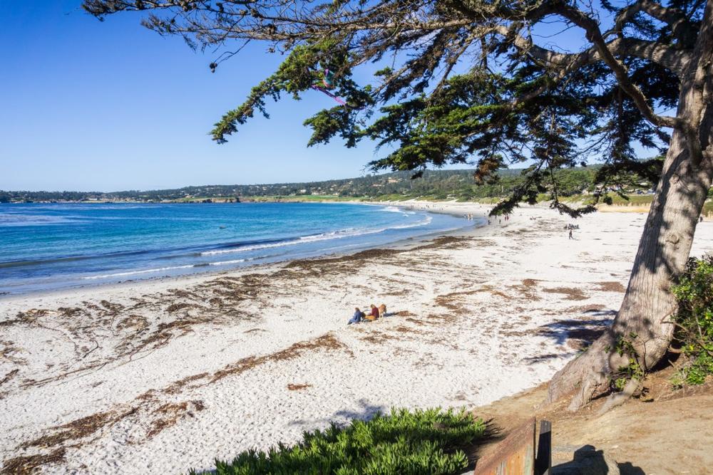Stroll art galleries and admire ocean views on a romantic couples getaway.