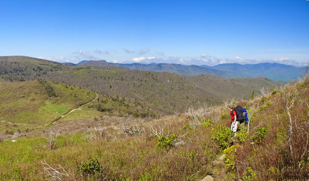 Stroll Through Alpine Meadows at Silers Bald