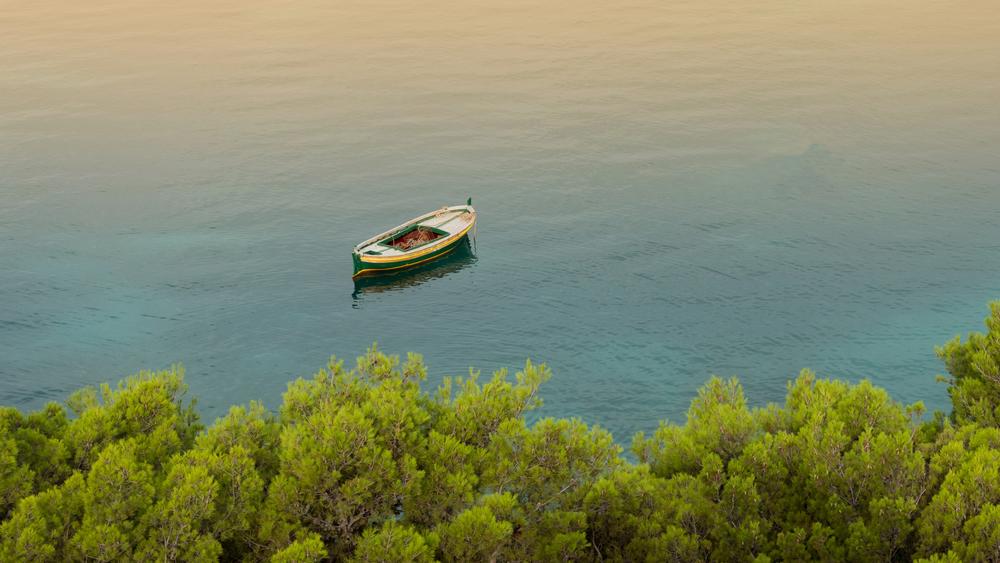 Find Peace on Harstine Island: Where Forest Trails Meet Tranquil Shores