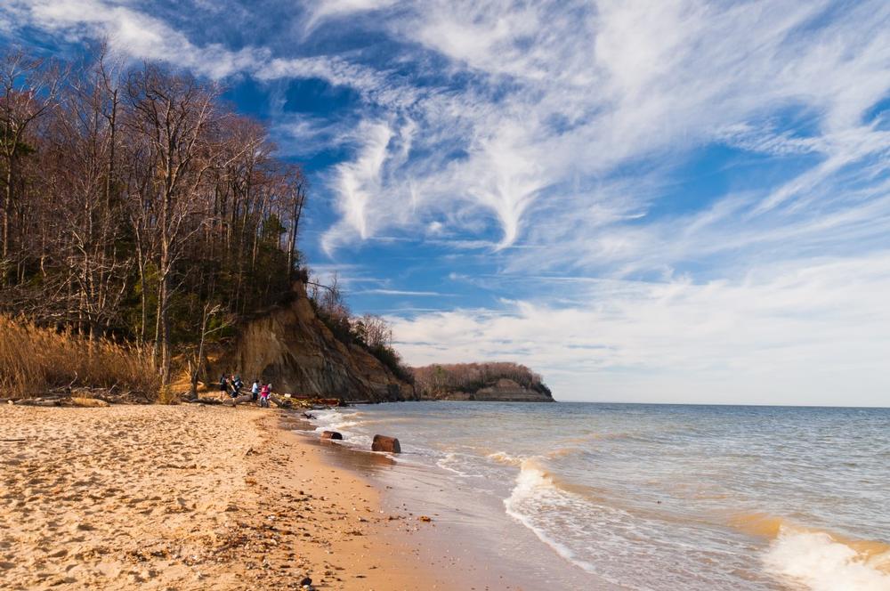 Hunt for ancient fossils or hike along scenic coastal trails.