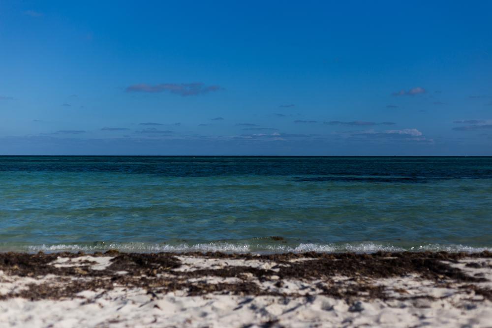 Loggerhead Beach - 1.5 hours by car from Key West