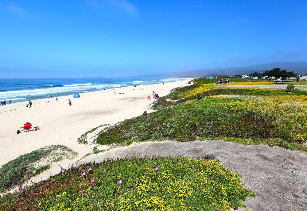 Watch crashing waves and walk sandy shores on a relaxing winter coastal retreat.