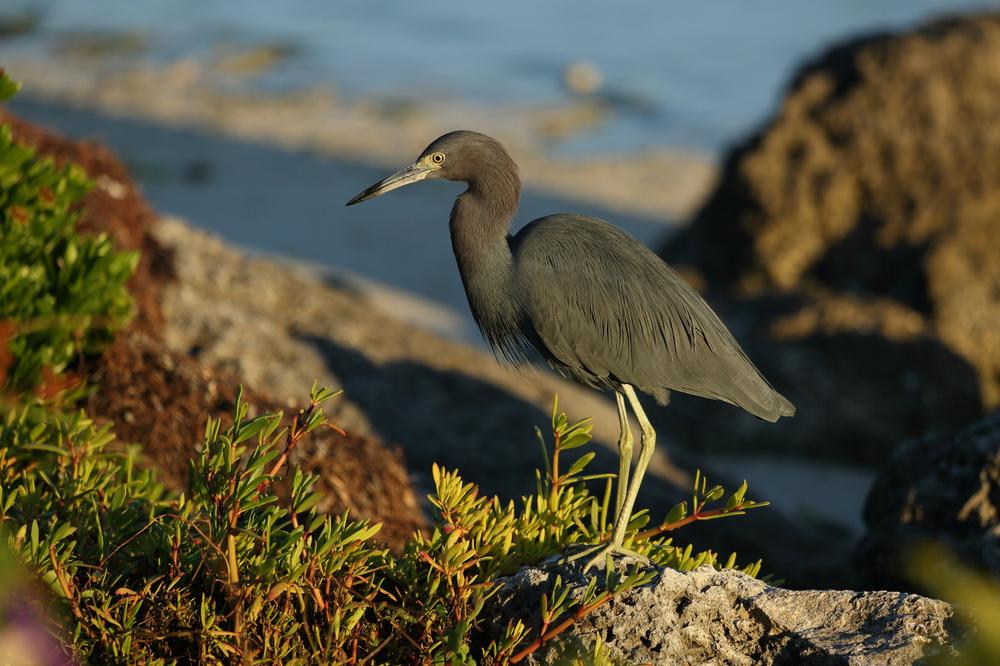 Long Key State Park - 2 hours from Key West