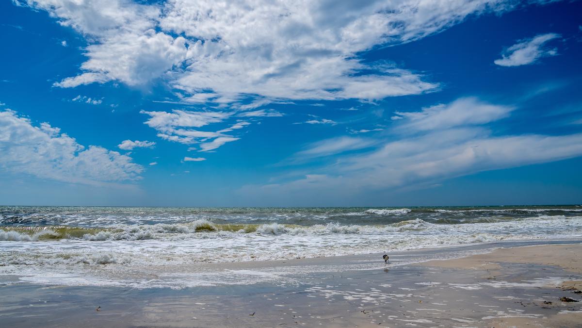The beach on a barrier island in the Gulf