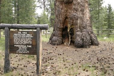 La Pine State Park