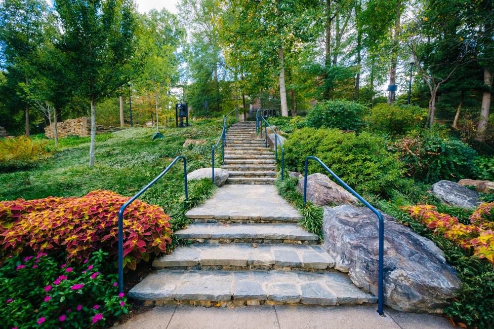 Explore the Artsy-Smart Allure of Greenville SC