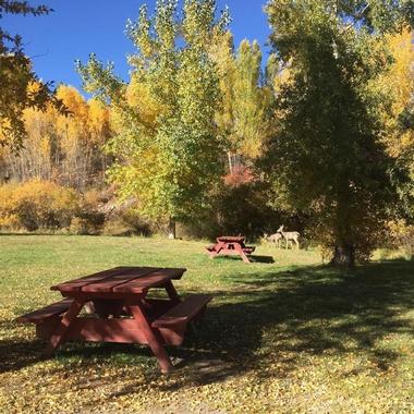 Chalk Creek Campground & RV Park