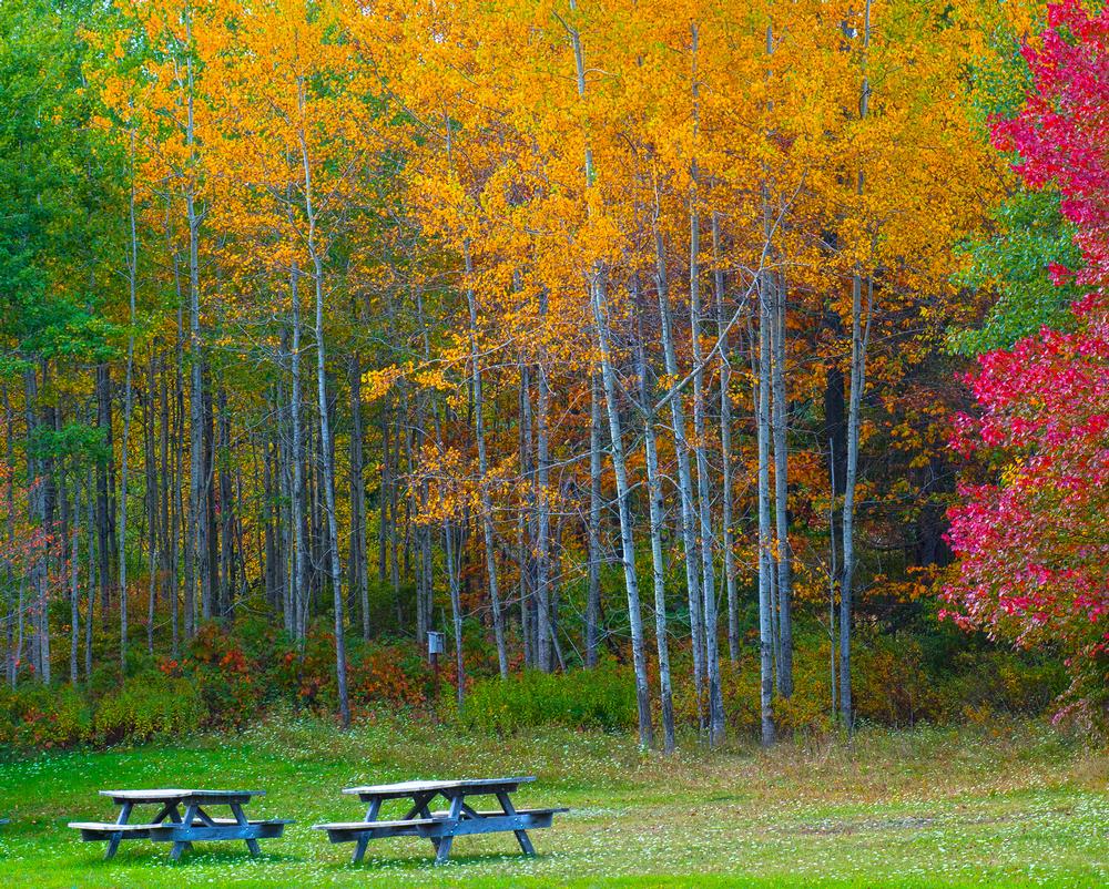 Hike scenic trails and unwind in a cozy, romantic mountain getaway.