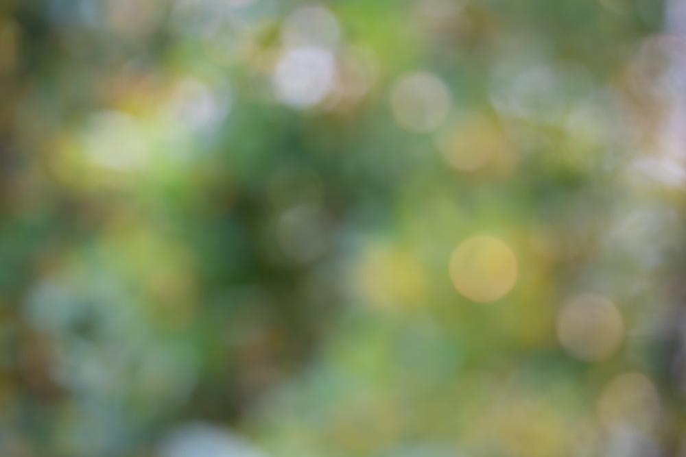 Walk historic grounds and spot wildlife on a peaceful spring visit.