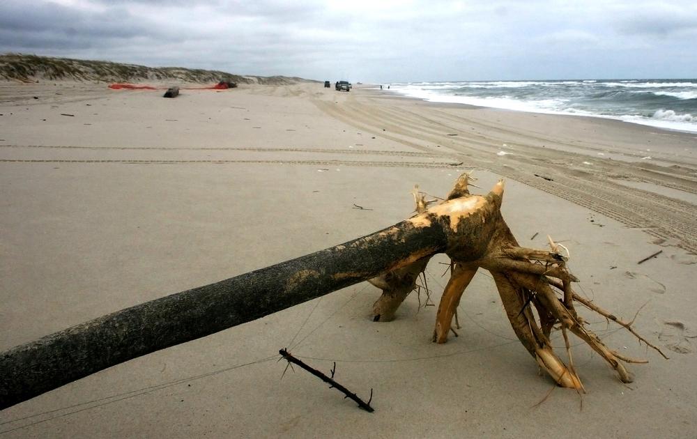 Caladesi Island State Park - 1 hour from Tampa