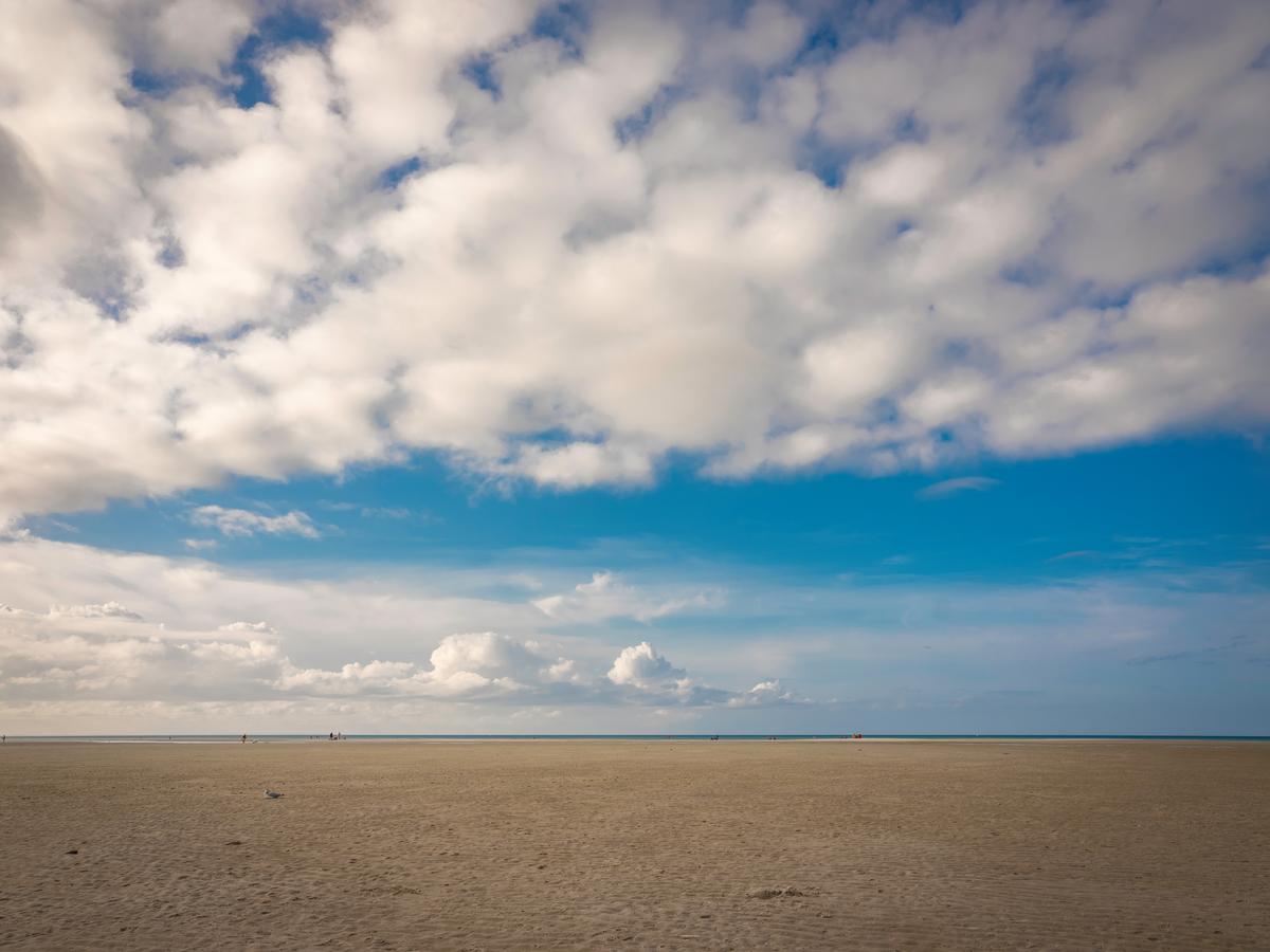 Chapin Memorial Beach