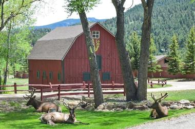 Elk Meadow Lodge and RV Resort