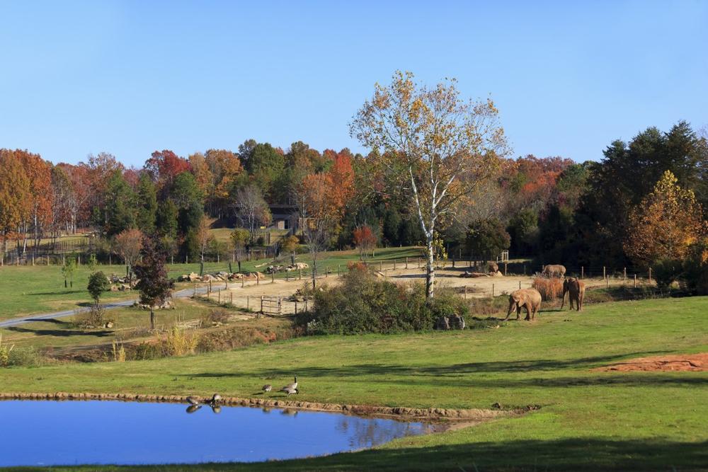 Asheboro - a 1 hour and 20-minute drive