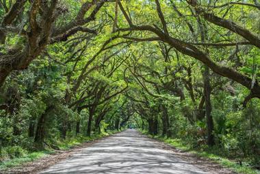 Botany Bay Heritage Preserve-Wildlife Management Area