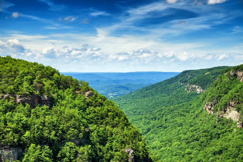 Cloudland Canyon State Park - a 40-minute drive
