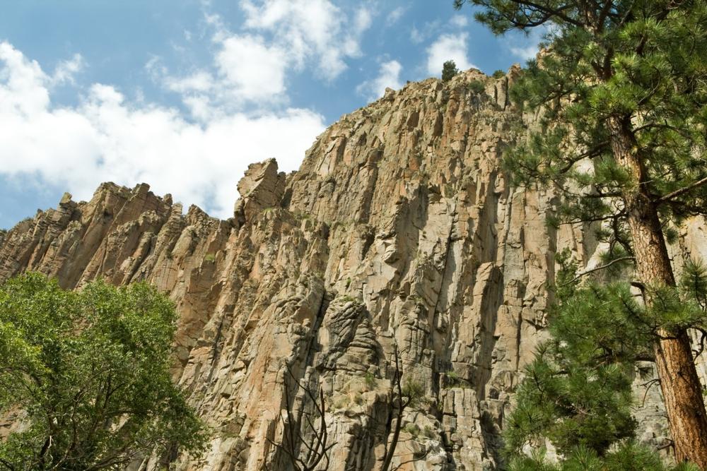 Cimarron Canyon State Park - 45 minutes from Taos