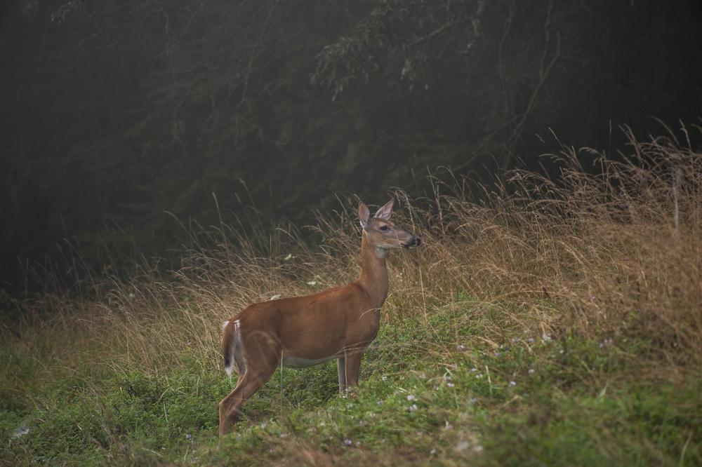 See fossil beds and hike nature trails on a cheap day trip.