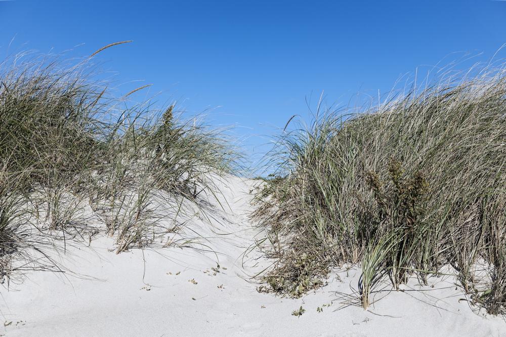 Crosby Landing Beach - 15 minutes from downtown Brewster by car