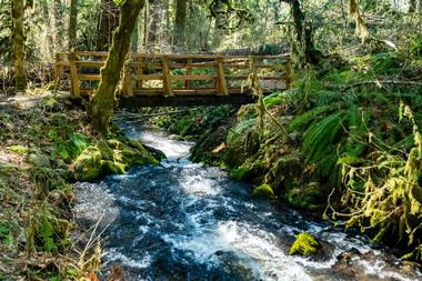 Cascadia State Park