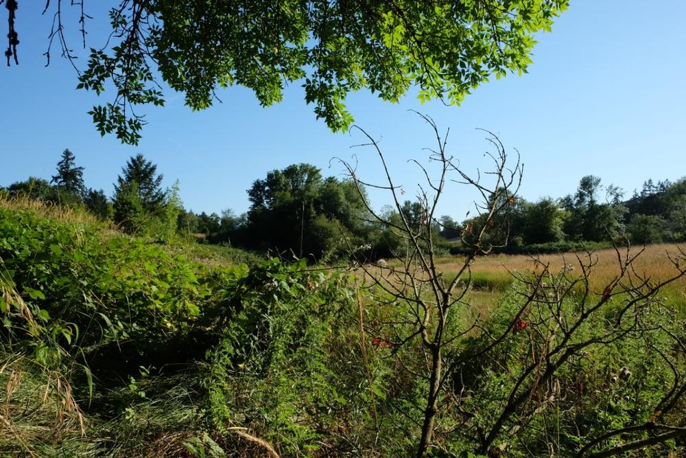 Champoeg State Heritage Area