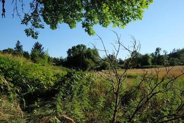 Champoeg State Heritage Area