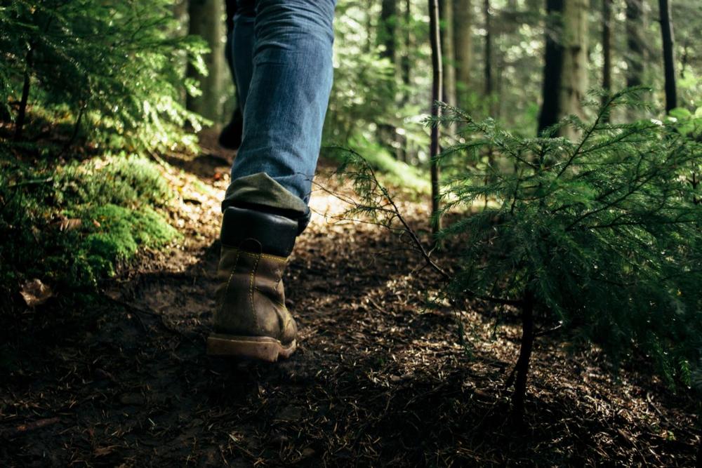 Hike limestone cliffs and admire rushing streams during spring.