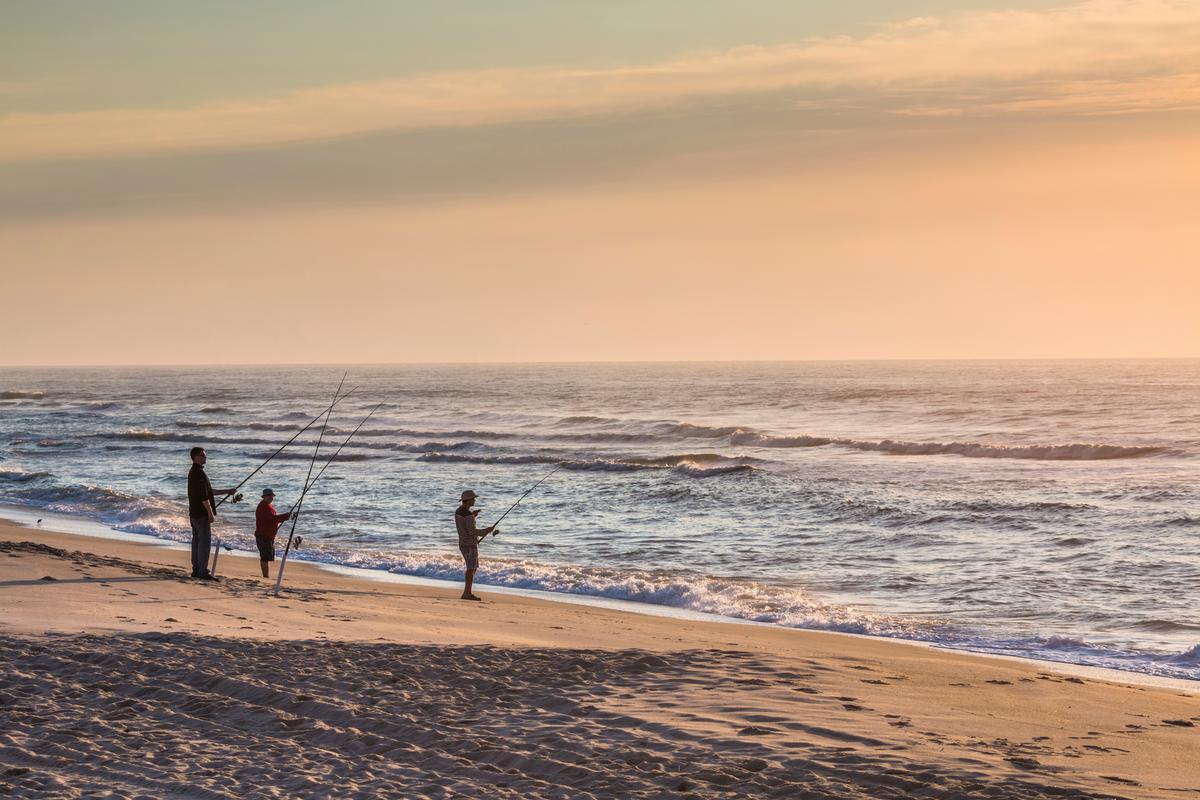 Drive to beaches through winding scenic routes or stop for panoramic overlooks. 