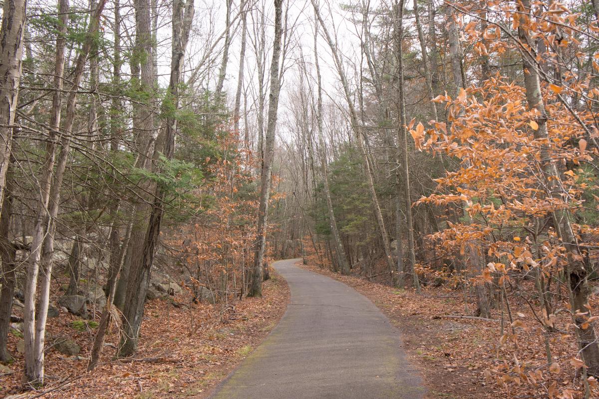 Hike on wooded trails and spot wildlife on an active day with kids.