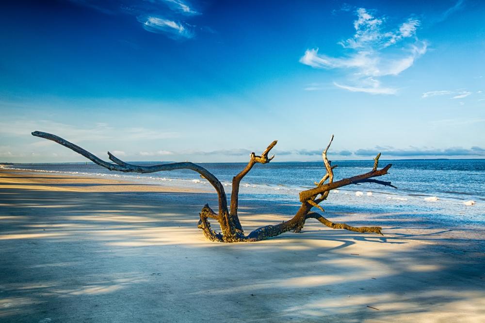 Georgia Beach