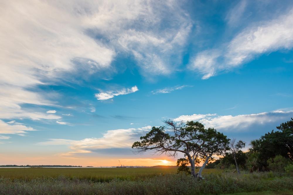 Cast a line in scenic waters or kayak through quiet estuaries.