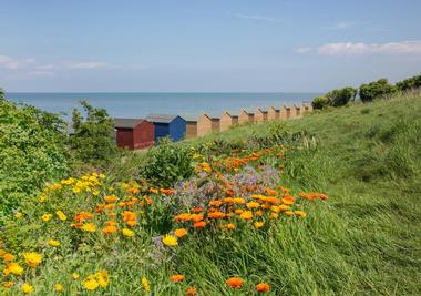 Whitstable (1 hour and 50 minutes)