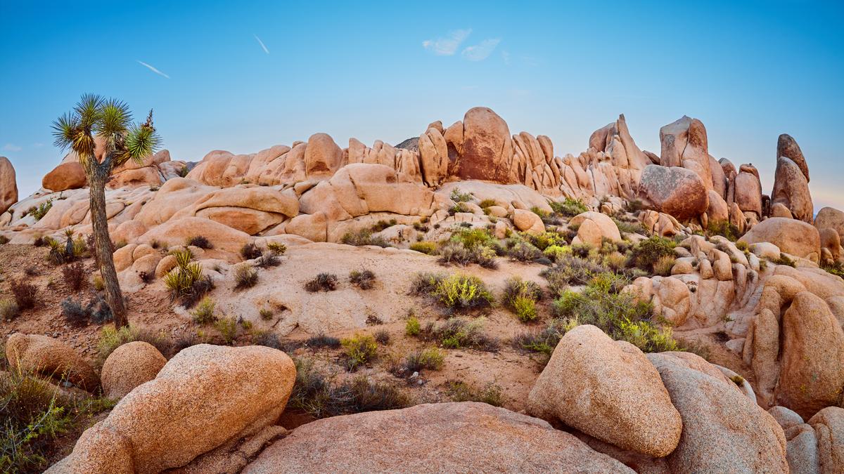 Joshua Tree National Park rocks