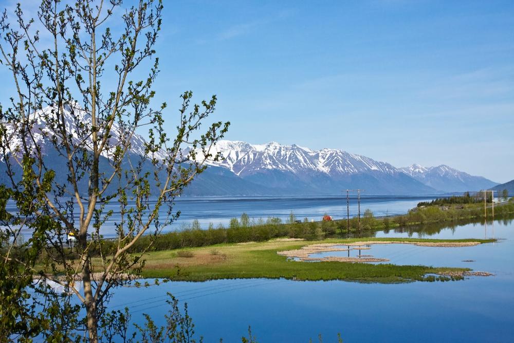 Drive along breathtaking coastal scenery or watch for beluga whales in the water.