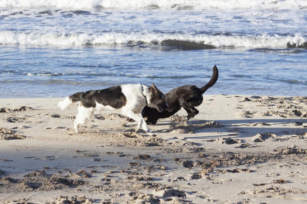 Stroll quiet shores and enjoy scenic views on an affordable weekend.