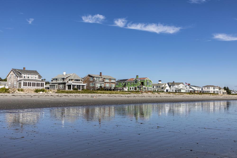 Walk along sandy shores and let your dog play freely.