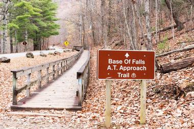 Amicalola Falls State Park (1 hour 30 min)